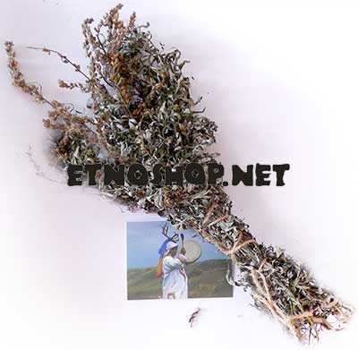 Полынь чернобыльник - пучок травы для окуривания